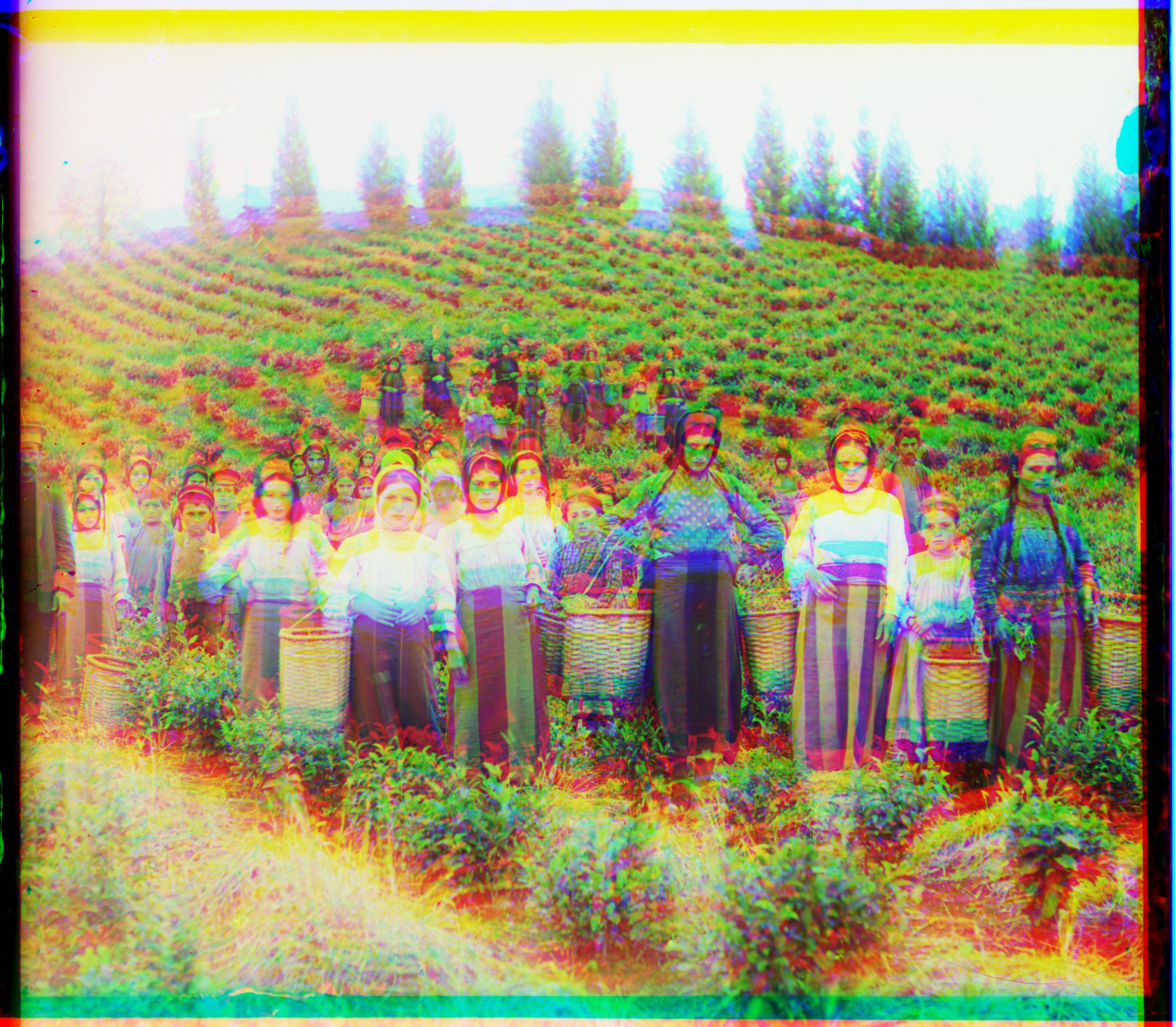 harvesters_original Image