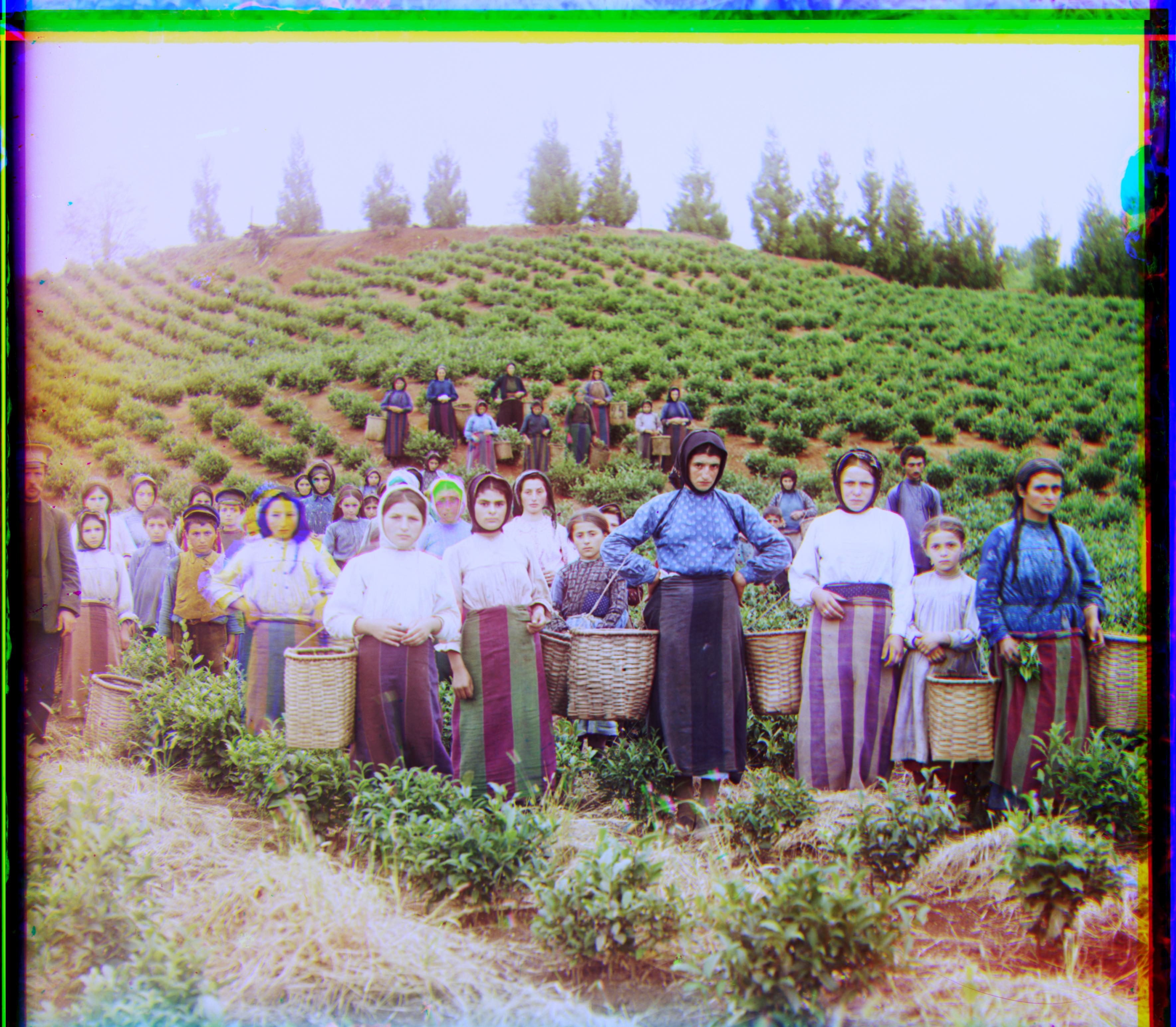 harvesters_original Image